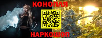 индика Новодвинск
