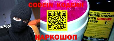 индика Новодвинск