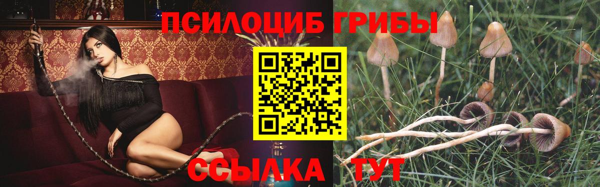 Псилоцибиновые грибы прущие грибы  Вход с VPN  Тамбов 