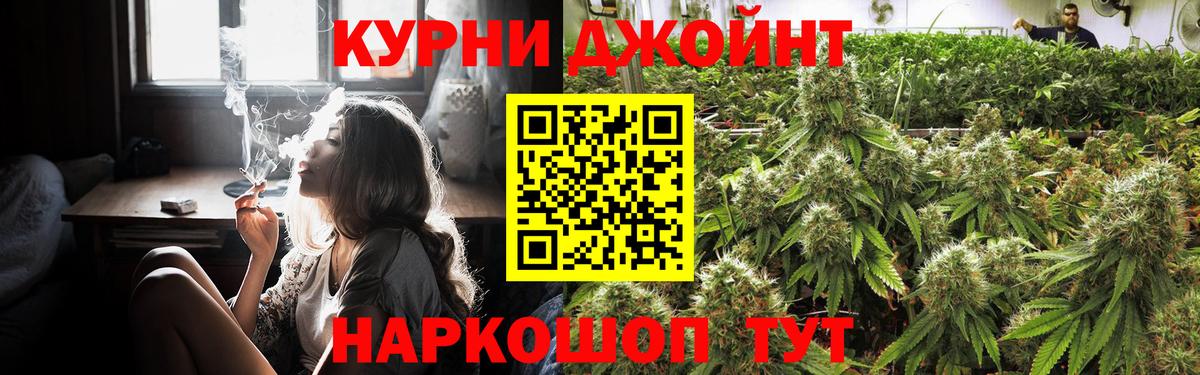 Конопля семена Тамбов